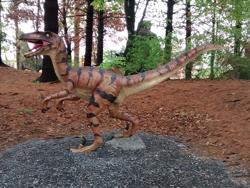 Dinosaurland Velociraptor Virginia
